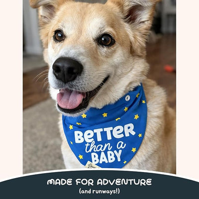 Funny Snap-On Dog Bandana for Small Medium Large Pets, Dogs Cats Adjustable Handkerchief Scarf for Girl & Boy, Cute Puppy Apparel & Accessories (Better Than A Baby, X-Large)