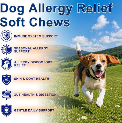 Dog Allergy Chews, Allergy Immune Support for Dogs, Seasonal Allergies Support, Dog Itching Skin Hot Spots Help Relief with Probiotics Turmeric Colostrum Omega-3, Chicken Flavor, 100Ct