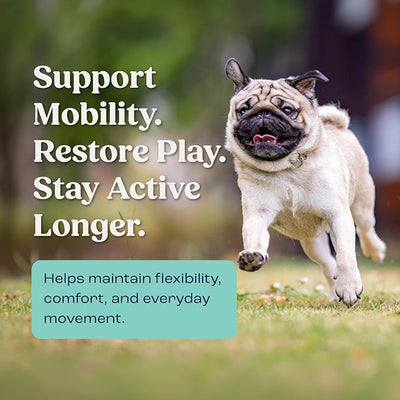 Summit Canine Joint and Mobility Supplement for Small Dogs, All Natural Liquid Chondroitin with Liposomal Delivery for Arthritis, Hip & Joint Support Vitamin, (Dogs <25lbs)