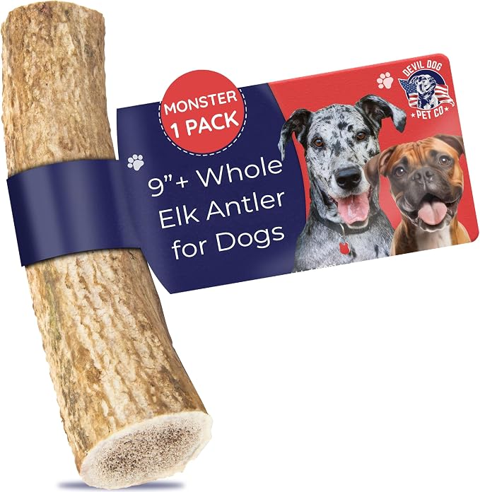 Elk Antlers for Dogs, Natural Dog Chew for Aggressive Chewers - Long Lasting and Odor Free - USA Sourced - Cleaner Teeth, Anxiety & Boredom Relief - Whole Monster 9"+ - Antler Bone