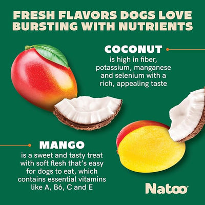 NATOO Healthy Treats for Large Dogs, Coconut & Mango Flavor, 8 oz | Crunchy Biscuits, Rich in Omega 6, Prebiotics & Fiber, Antioxidants for Immunity, Natural Dog Treats