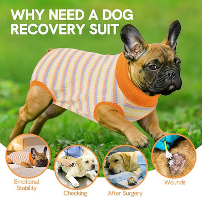 SAWMONG Recovery Suit for Dogs Female Male, Cotton Breathable Dog Onesie After Surgery Spay Neuter, Professional Pet Surgical Suit, Substitute E-Collar Cone (Orange Stripes, XL)