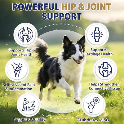 Hip and Joint Supplement for Dogs 200 Dog Calming Chews with Glucosamine, Chondroitin, Msm, Omega3, Melatonin for Senior Dogs Anxiety Pain Relief Anti Inflammatory Small/Medium/Large Dog-Peanut Butter