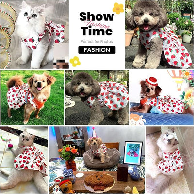 ABRRLO Cute Dog Dress Small Dog Clothes for Girls Female Puppy Outfits Red Strawberry Pet Summer Clothes Bowknot Doggy Cat Princess Dresses Harness for Holiday Birthday Party Costume Clothing (Red,L)