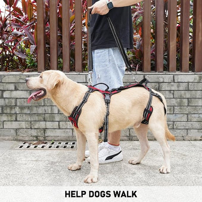 COODEO Mobility Dog Lift Harness, Support Sling & Walking Sling for Dogs, Pet Rear Leg Rehabilitation Support Vest, Dog Carrier for Senior Dogs with Joint Injuries, Arthritis, Up Stair (Red, L)