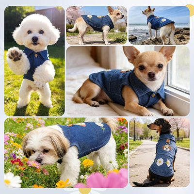 Dog Tshirts for Small Dogs, Soft Breathable 100% Cotton Denim Dog Vest with D-Ring & Cute Bear Daisy Print Dog Shirts for Small Dogs Girl Boy Puppy Clothes Outfits for Chihuahua Yorkie Shih Tzu
