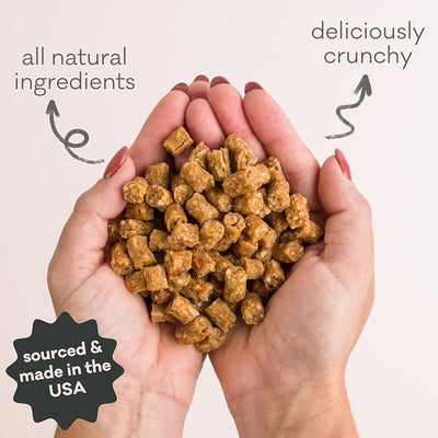 Polkadog Clam Chowda Crunchy Training Bits - All Natural, Limited Ingredient, Premium Training Treats for Dogs, High in Omega-3. Great for Allergies, Handcrafted in USA - 7oz (1pk)