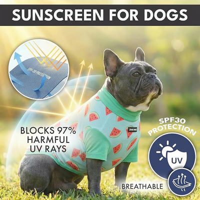 Spark Paws Sunblock Dog T-Shirt, SPF30 Protection, Lightweight Breathable Quick Dry for Dogs with Sensitive Skin - Bees & Watermelon (Set of 2) - Size XL