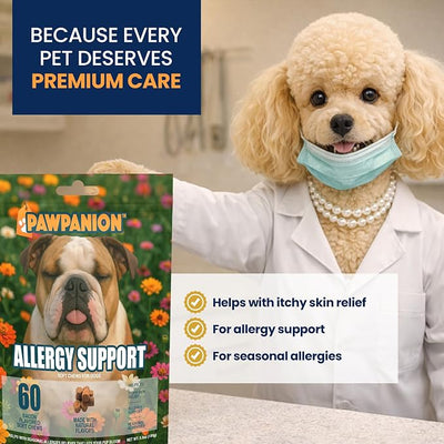 Allergy Soft Chews for Dogs Itchy Skin Relief 60 Count