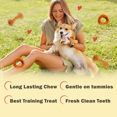 VITADAY All Natural Turkey Tendon Dog Treats Bone (S), 4-Pack | Long-lasting dog training treats. Rawhide-free made of USA-sourced premium turkey tendons. For small dogs, Bone (S), 4pk