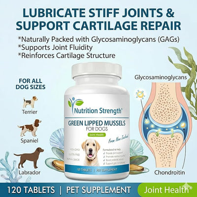Green Lipped Mussels for Dogs for Joint Support & Inflammatory Relief, Promote Normal Mobility & Flexibility, Boost Prebiotic Activity, Support Gut Microbiome, 120 Chewable Tablets