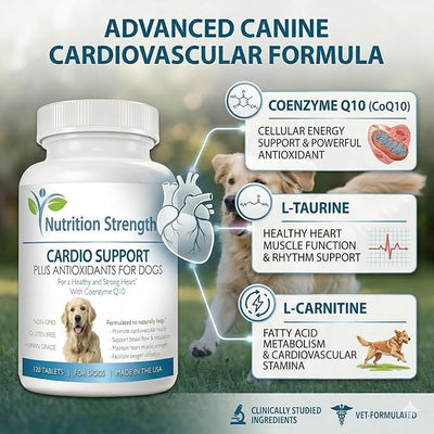 Cardio Support for Dogs Plus Antioxidant, L-Carnitine, L-Taurine, with Coenzyme Q10 and Vitamin E, Promotes a Healthy and Strong Dog Heart, 120 Chewable Tablets