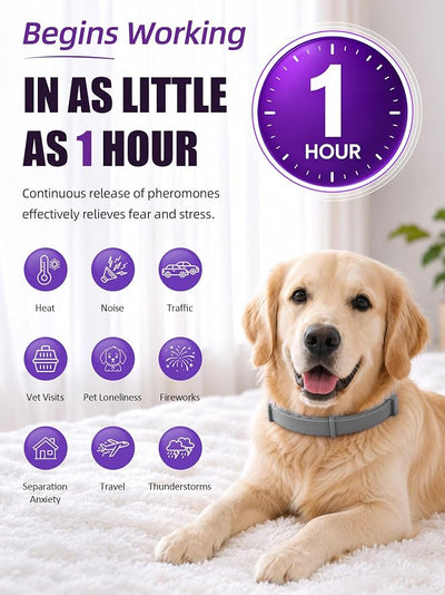 Calming Collar for Dogs 4 Pack, Adjustable Dog Calming Collar for Barking, 60-Day Waterproof Pheromone Collars for Dog for Separation Anxiety, Bad Behavior & Stress Support (Grey, Large)