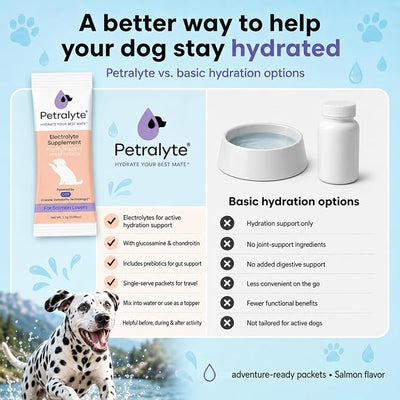 Dog Electrolytes and Joint Supplement | Hydration Support for Dogs w/Glucosamine, Chondroitin & More | Electrolytes for Dogs with Prebiotics | Salmon Lovers | 32 Packets