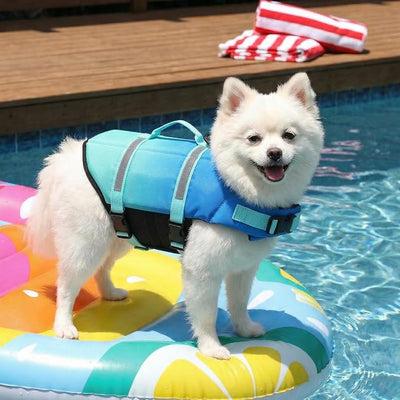 Doglay Dog Life Jacket, Life Vest for Swimming and Boating, Adjustable Puppy Life Jacket with Reflective Stripes, Superior Buoyancy Pet Swimming Vest for Small Medium and Large Dogs