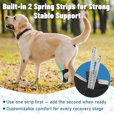 Dog Leg Braces for Back & Front Legs- Dog Hock & Ankle Joint Brace for Weak Back Legs with 2 Metal Strips, Reflective Trim for Sprain, Injury, Arthritis, Wound Recovery,Black,L