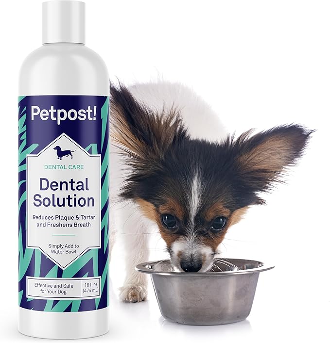 Dental Solution for Dogs - Water Additive that Eliminates Bad Breath - Dirt, Gunk, and Tooth Buildup Gone - Natural Tooth Cleaning Solution 16 oz.