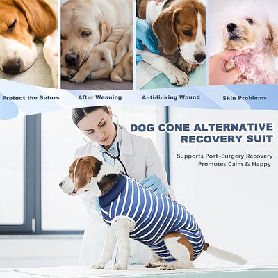 Recovery Suit for Dogs, Soft Dog Surgery Suit for Female Spay Male Neuter | Dog Cone Alternative Surgical Recovery Shirt for Abdominal Wounds, Anti-Licking Pet Clothes for Dogs Cats, Blue, Large