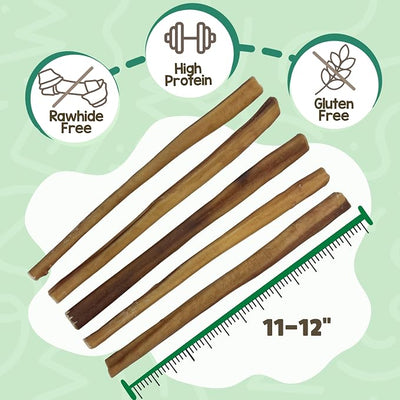 Nature Gnaws Large Bully Sticks for Dogs 11-12" (10 Count) - Thick Long Lasting for Aggressive Chewers and Large Dogs - Natural Beef Dog Chew Bones