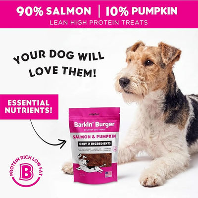 Barkin Burger Salmon & Pumpkin Dog Treats – Limited Ingredient Recipe, Digestive Support, High Omega for Skin & Coat, Sensitive Stomach Friendly, Picky Eater Approved