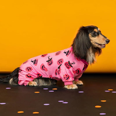 Fitwarm Halloween Jack O Lantern Dog Pajamas, Funny Costumes for Small Dogs Girl, Pet Outfit, Pink, Black, Small
