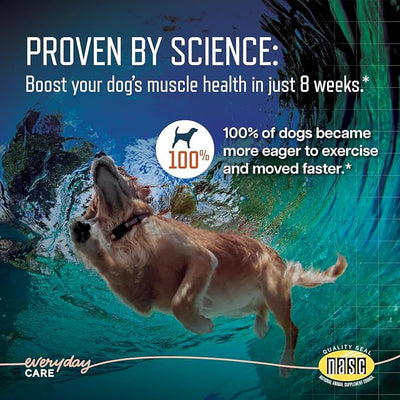 Virbac URSOLYX™ Soft Chews for Dogs | Muscle Health Support for Senior, Active or Recovering Dogs, Medium 30-60lbs | 60 Count 2- Month Supply