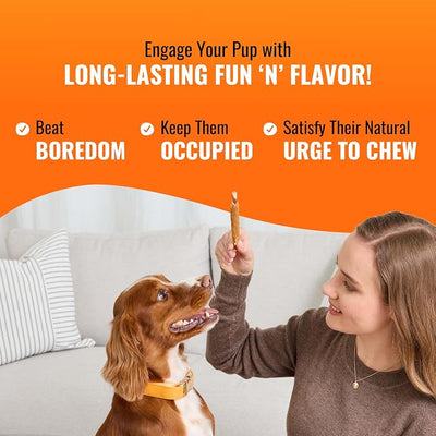 Good 'n' Fun Rolls Long-Lasting Dog Treat, For Large Dogs, With Real Proteins, Beef Hide and Premium Chicken, Supports Dental Health, Mental Stimulation, 6 count