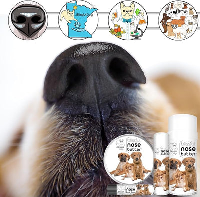 The Blissful Dog 3 Cute Puppies Unscented Nose Butter, 16oz