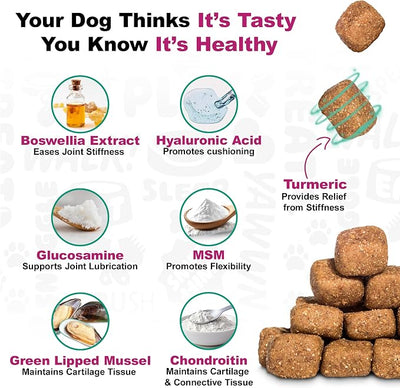 Doggie Dailies, Advanced Senior Hip and Joint Supplement for Dogs, Glucosamine Chondroitin, Premium Hip and Joint Chews for Dogs All Breeds & Sizes, Dog Vitamins and Supplements, (Duck) 120 Chews
