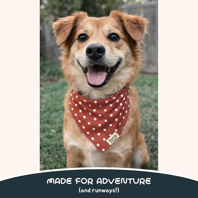 Snap-On Dog Bandana for Small Medium Large Pets, Dogs Cats Adjustable Handkerchief Scarf for Girl & Boy, Funny Cute Puppy Apparel & Accessories (Red Polka Dots, Medium)