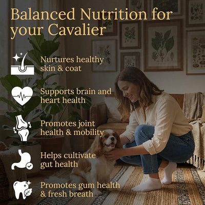 Cavalier King Charles Spaniel Multivitamins, 90 Count, Made in the USA with Real Bacon.