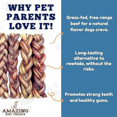 Amazing Dog Treats 6" Braided Bully Stick (10 Pcs/Pack) - Bully Stick for Dogs - Made from Premium Grass Fed Argentinian Beef