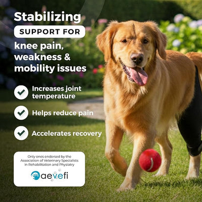 Ortocanis Dog Knee Brace for Hind Leg Support – Flexible Neoprene Knee Brace for Dogs with Joint Instability, Torn ACL, Limping or Osteoarthritis – Comfortable Support for Recovery (Medium, Left Leg)