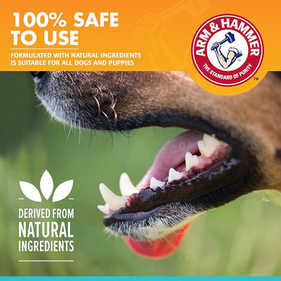 Arm & Hammer for Pets Fresh Breath Enzymatic Dog Toothpaste Chicken Flavor Baking Soda Dental Gel Eliminates Bad Breath Safe Puppies Adult Dogs Daily 2.5 OZ 72 Pack for Dogs Complete Oral Care