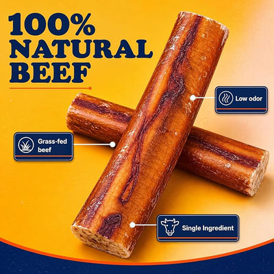 Bow Wow Labs SafeFit™ Bully Sticks for Dogs - 100% All Natural Beef Sticks, Grass-Fed, Low Odor, Long Lasting Dog Chews, Dog Chew Treats, Bully Stick for Small, Medium, Large Dogs - 12" Jumbo 10 Pack