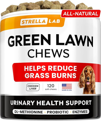 StrellaLab Dog Probiotics Treats for Picky Eaters (180ct) - Digestive Enzymes + Prebiotics - Chewable Fiber Supplement - Allergy, Diarrhea, Gas, Constipation, Upset Stomach Relief - Digestion&Immunity