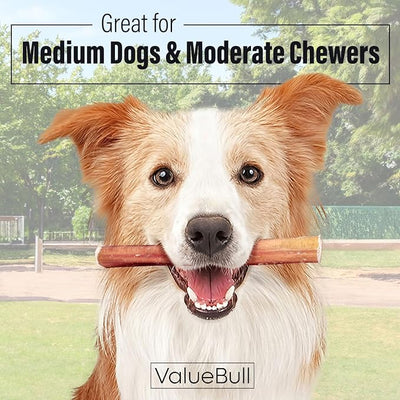 ValueBull Bully Sticks for Dogs, Medium 6 Inch, 100 Count - All Natural, Grass Fed, Single Ingredient, Long Lasting Dog Treats