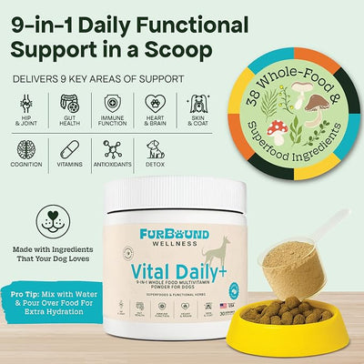 Dog Multivitamin Powder | 9-in-1 Whole Food Dog Vitamins and Dog Supplements that Supports Joint, Digestion, Skin & Coat, Immune, Cognition, Detox, Heart, Antioxidants (Cheesy Beef Flavor)