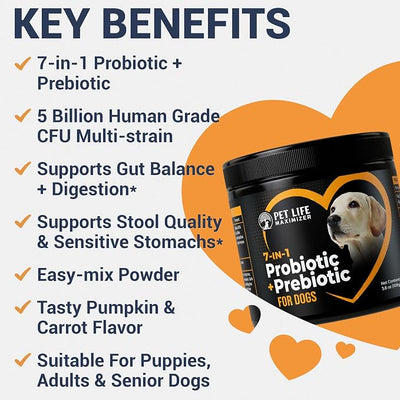 7-in-1 Probiotic + Prebiotic for Dogs. For Digestive Health, Yeast, Itchy Skin, Itchy Ears, Paw Licking. Dog Gut Health Probiotics Supplement 5 Billion CFU Multi-Strain Formula. Daily Powder Topper
