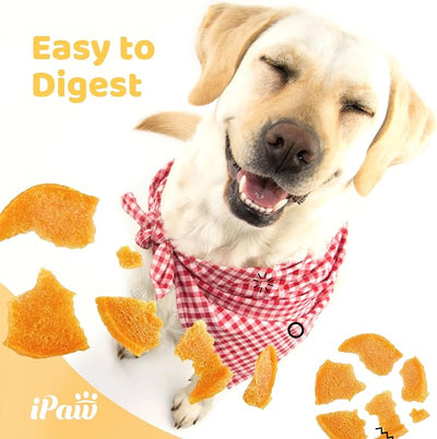 iPaw 5 Stock-Up Combo Chicken Chips Dog Treats for Puppy Training, SQF Certified Human Grade Dog Treat, Hypoallergenic, Easy to Digest (Chicken Chips), 5 Packs