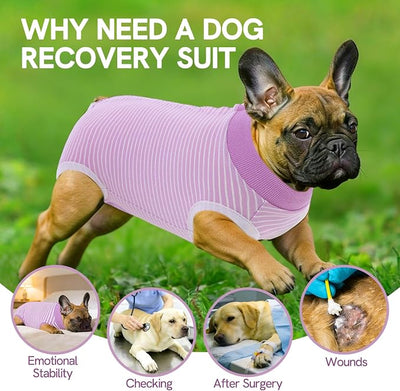 SAWMONG Recovery Suit for Dogs Female Male, Cotton Breathable Dog Onesie After Surgery Spay Neuter, Professional Dog Surgical Suit, Substitute Pet E-Collar Cone, Purple, Medium