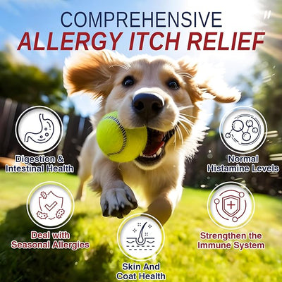Dogs Seasonal Allergies 200 Treats for Allergy and Itching