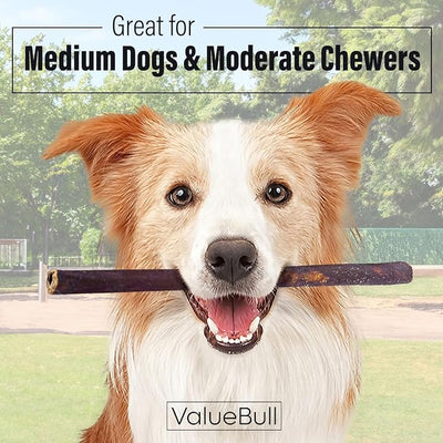 ValueBull Collagen Sticks for Dogs, 12 Inch Medium Chews, Natural Long-Lasting Dog Treats, 10 Count - Supports Joints, Skin & Coat with Chondroitin & Glucosamine
