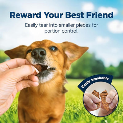 Blue Buffalo Nudges Grillers Natural Dog Treats, Made in The USA with Real Salmon, 16-oz. Bag