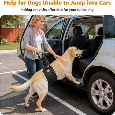 LOOBANI Dog Lift Harness for Back Legs, Portable Dog Sling for Large Dogs Hind Leg Support, Comfortable Leg Support Assistance for Elderly Dogs with Hip, ACL Brace, Senior, Injured