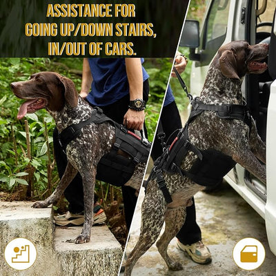 OneTigris Dog Lift Harness for Large Dogs, Dog Hip Support Brace, Full Body Lifter with Handles Invictus Multifunctional Mobility Assistance Vest for Back Legs (Black, Large)