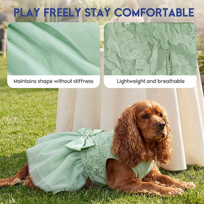 ASENKU Dog Dress Pet Wedding Dress Princess Lace Puppy Birthday Party Outfit Formal Apparel Girl for Small Medium Dogs Cats (Small, Green)