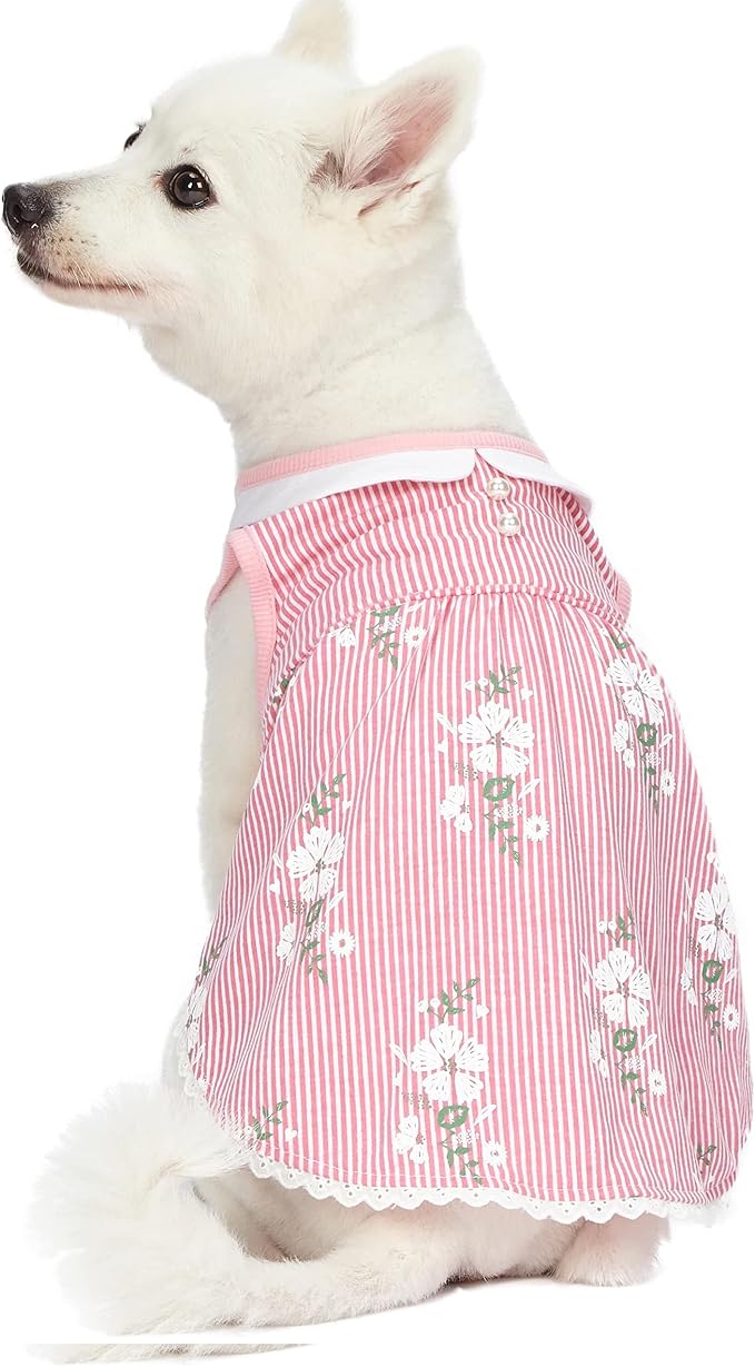 Blueberry Pet Wonderland Floral Sleeveless Dog Dress in Pink Stripe with Peter Pan Collar, Back Length 12", Pack of 1 Clothes for Dogs