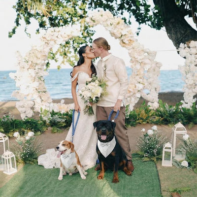 Dog Tuxedo, Adjustable Formal Wedding Outfit Bandana Dog Tux Collar with Bow Tie, Pet Birthday Valentines Outfit Cosplay(X-Large)