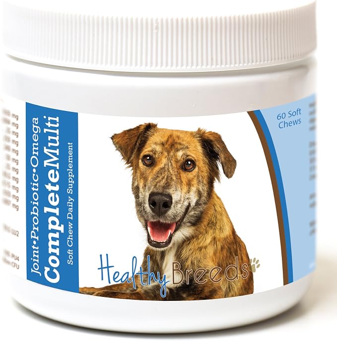 Plott All in One Multivitamin Soft Chew 60 Count